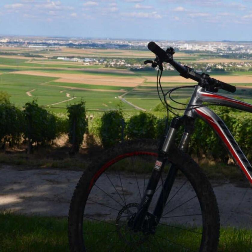 Pargny-les-Reims Gite Saint Martin מראה חיצוני תמונה